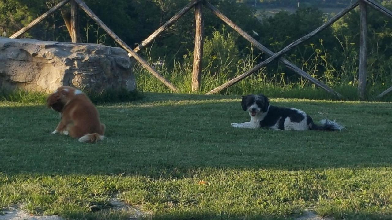 גוביו Agriturismo Countryhouse Le Giare מראה חיצוני תמונה